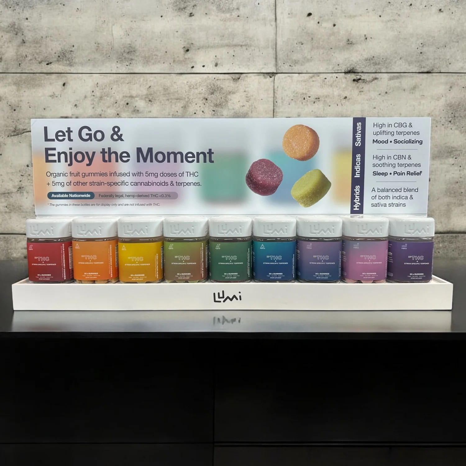 Deluxe Starter Bundle